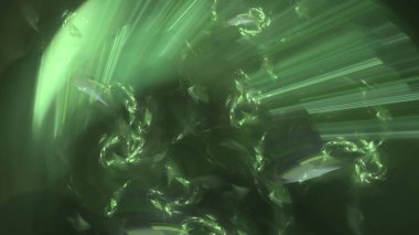 Fantezi kaotik renkli fraktal desen. Soyut Fraktal şekiller. 3D render resimde arka plan veya duvar kağıdı.