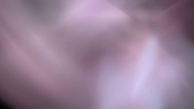 Fantezi kaotik renkli fraktal desen. Soyut Fraktal şekiller. 3D render resimde arka plan veya duvar kağıdı.