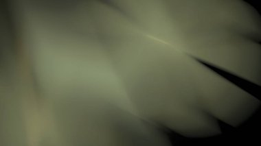 Fantezi kaotik renkli fraktal desen. Soyut Fraktal şekiller. 3D render resimde arka plan veya duvar kağıdı.