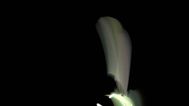 Fantezi kaotik renkli fraktal desen. Soyut Fraktal şekiller. 3D render resimde arka plan veya duvar kağıdı.