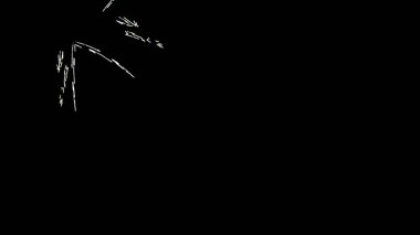 Fantezi kaotik renkli fraktal desen. Soyut Fraktal şekiller. 3D render resimde arka plan veya duvar kağıdı.