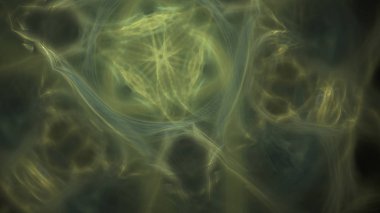 Fantezi kaotik renkli fraktal desen. Soyut Fraktal şekiller. 3D render resimde arka plan veya duvar kağıdı.