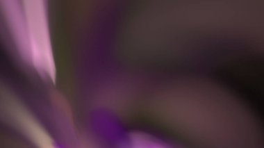 Fantezi kaotik renkli fraktal desen. Soyut Fraktal şekiller. 3D render resimde arka plan veya duvar kağıdı.