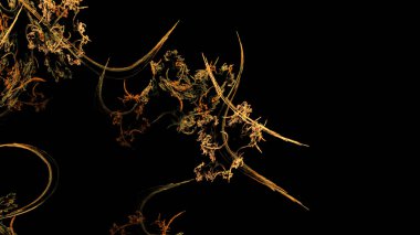 Fantezi kaotik renkli fraktal desen. Soyut Fraktal şekiller. 3D render resimde arka plan veya duvar kağıdı.