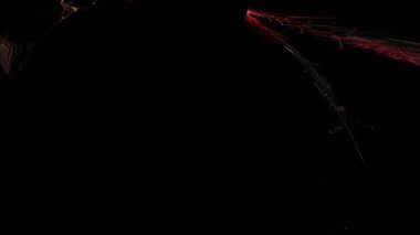 Fantezi kaotik renkli fraktal desen. Soyut Fraktal şekiller. 3D render resimde arka plan veya duvar kağıdı.