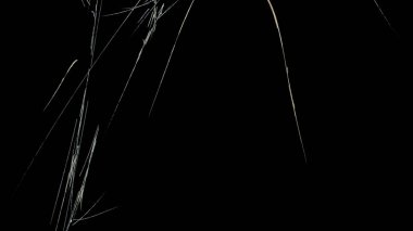 Fantezi kaotik renkli fraktal desen. Soyut Fraktal şekiller. 3D render resimde arka plan veya duvar kağıdı.