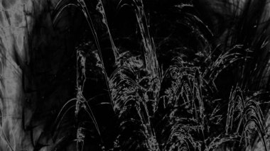 Fantezi kaotik renkli fraktal desen. Soyut Fraktal şekiller. 3D render resimde arka plan veya duvar kağıdı.