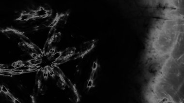 Fantezi kaotik renkli fraktal desen. Soyut Fraktal şekiller. 3D render resimde arka plan veya duvar kağıdı.