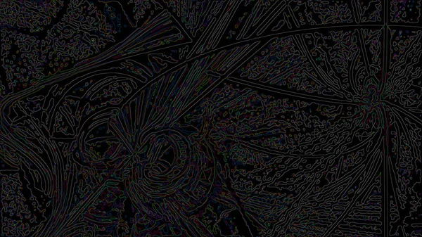 Fantasía Caótica Patrón Fractal Colorido Formas Fractales Abstractas Fondo Ilustración —  Fotos de Stock