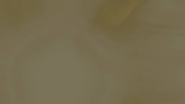 Fantezi kaotik renkli fraktal desen. Soyut Fraktal şekiller. 3D render resimde arka plan veya duvar kağıdı.