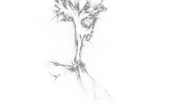 Fantezi kaotik renkli fraktal desen. Soyut Fraktal şekiller. 3D render resimde arka plan veya duvar kağıdı