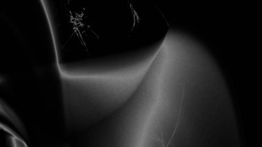 Fantezi kaotik renkli fraktal desen. Soyut Fraktal şekiller. 3D render resimde arka plan veya duvar kağıdı