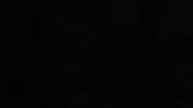 Fantezi kaotik renkli fraktal desen. Soyut Fraktal şekiller. 3D render resimde arka plan veya duvar kağıdı