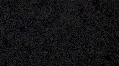 Fantezi kaotik renkli fraktal desen. Soyut Fraktal şekiller. 3D render resimde arka plan veya duvar kağıdı