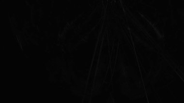 Fantezi kaotik renkli fraktal desen. Soyut Fraktal şekiller. 3D render resimde arka plan veya duvar kağıdı