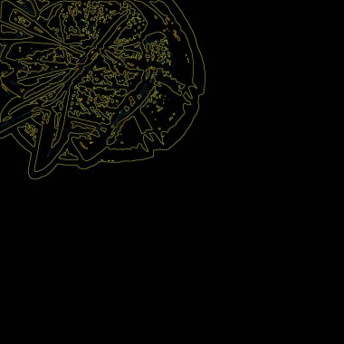 Fantezi kaotik renkli fraktal desen. Soyut Fraktal şekiller. 3D render resimde arka plan veya duvar kağıdı