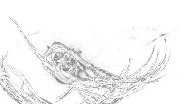 Fantezi kaotik renkli fraktal desen. Soyut Fraktal şekiller. 3D render resimde arka plan veya duvar kağıdı