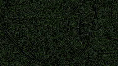 Fantezi kaotik renkli fraktal desen. Soyut Fraktal şekiller. 3D render resimde arka plan veya duvar kağıdı