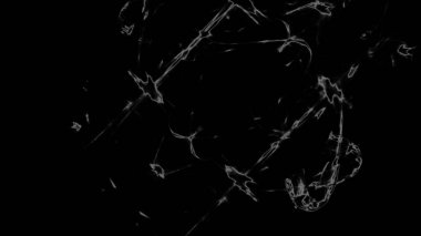 Fantezi kaotik renkli fraktal desen. Soyut Fraktal şekiller. 3D render resimde arka plan veya duvar kağıdı