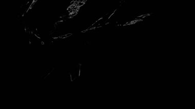 Fantezi kaotik renkli fraktal desen. Soyut Fraktal şekiller. 3D render resimde arka plan veya duvar kağıdı