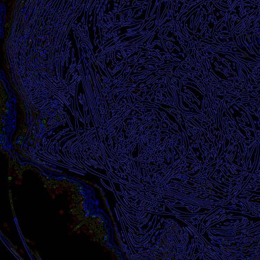 Fantezi kaotik renkli fraktal desen. Soyut Fraktal şekiller. 3D render resimde arka plan veya duvar kağıdı