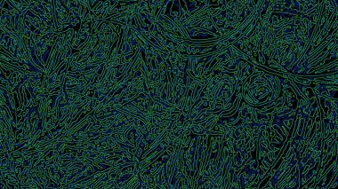 Fantezi kaotik renkli fraktal desen. Soyut Fraktal şekiller. 3D render resimde arka plan veya duvar kağıdı