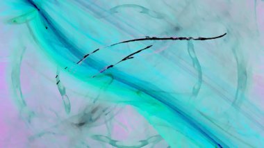 Fantezi kaotik renkli fraktal desen. Soyut Fraktal şekiller. 3D render resimde arka plan veya duvar kağıdı