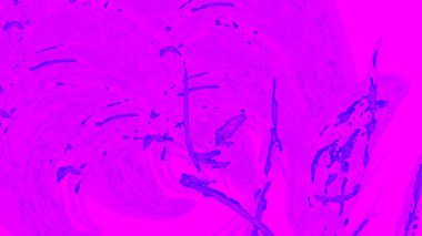 Fantezi kaotik renkli fraktal desen. Soyut Fraktal şekiller. 3D render resimde arka plan veya duvar kağıdı