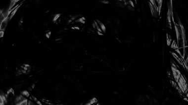 Fantezi kaotik renkli fraktal desen. Soyut Fraktal şekiller. 3D render resimde arka plan veya duvar kağıdı