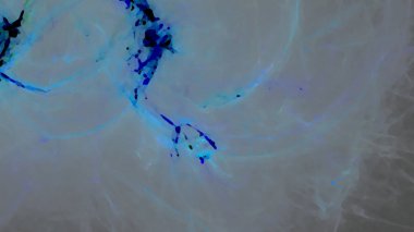 Fantezi kaotik renkli fraktal desen. Soyut Fraktal şekiller. 3D render resimde arka plan veya duvar kağıdı