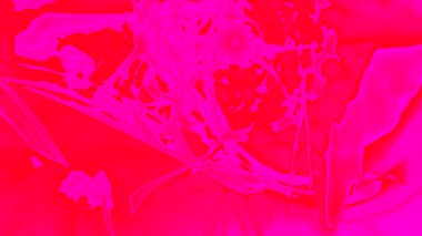 Fantezi kaotik renkli fraktal desen. Soyut Fraktal şekiller. 3D render resimde arka plan veya duvar kağıdı