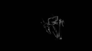 Fantezi kaotik renkli fraktal desen. Soyut Fraktal şekiller. 3D render resimde arka plan veya duvar kağıdı