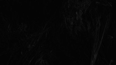 Fantezi kaotik renkli fraktal desen. Soyut Fraktal şekiller. 3D render resimde arka plan veya duvar kağıdı