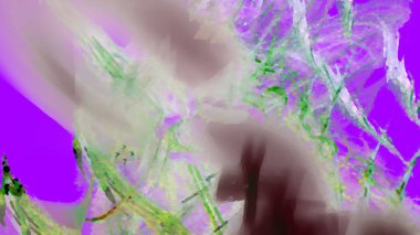 Fantezi kaotik renkli fraktal desen. Soyut Fraktal şekiller. 3D render resimde arka plan veya duvar kağıdı