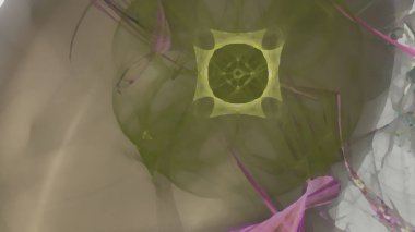 Fantezi kaotik renkli fraktal desen. Soyut Fraktal şekiller. 3D render resimde arka plan veya duvar kağıdı.