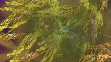 Fantezi kaotik renkli fraktal desen. Soyut Fraktal şekiller. 3D render resimde arka plan veya duvar kağıdı.