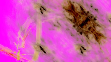 Fantezi kaotik renkli fraktal desen. Soyut Fraktal şekiller. 3D render resimde arka plan veya duvar kağıdı.