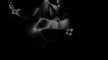 Fantezi kaotik renkli fraktal desen. Soyut Fraktal şekiller. 3D render resimde arka plan veya duvar kağıdı.