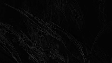 Fantezi kaotik renkli fraktal desen. Soyut Fraktal şekiller. 3D render resimde arka plan veya duvar kağıdı.