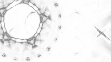 Fantezi kaotik renkli fraktal desen. Soyut Fraktal şekiller. 3D render resimde arka plan veya duvar kağıdı.