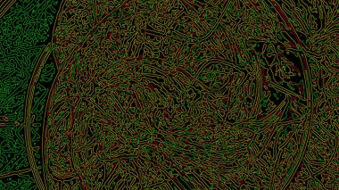 Fantezi kaotik renkli fraktal desen. Soyut Fraktal şekiller. 3D render resimde arka plan veya duvar kağıdı.