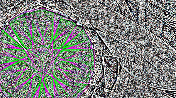 幻想中混乱的五颜六色的分形图案 抽象分形形状 渲染插图背景或壁纸 — 图库照片