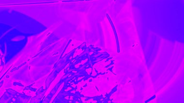 Fantezi kaotik renkli fraktal desen. Soyut Fraktal şekiller. 3D render resimde arka plan veya duvar kağıdı.