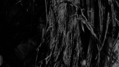 Fantezi kaotik renkli fraktal desen. Soyut Fraktal şekiller. 3D render resimde arka plan veya duvar kağıdı.