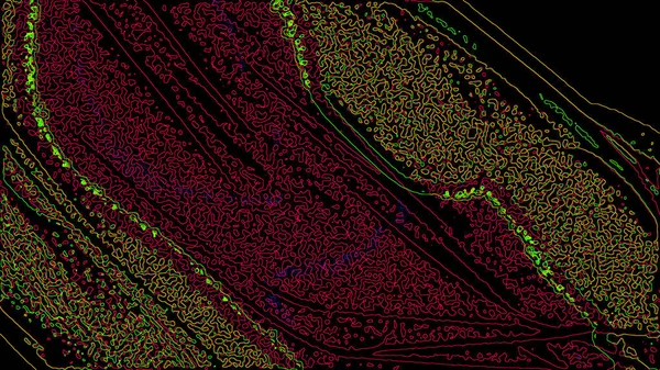 Fantasia Caótico Padrão Fractal Colorido Formas Fractais Abstratas Renderização Ilustração — Fotografia de Stock