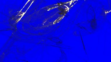 Fantezi kaotik renkli fraktal desen. Soyut Fraktal şekiller. 3D render resimde arka plan veya duvar kağıdı