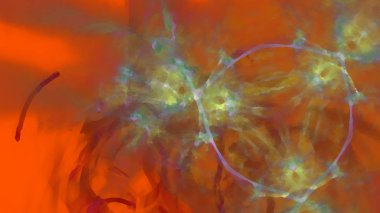 Fantezi kaotik renkli fraktal desen. Soyut Fraktal şekiller. 3D render resimde arka plan veya duvar kağıdı