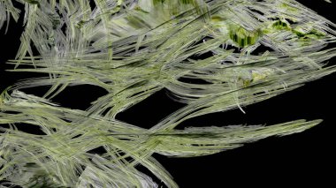 Fantezi kaotik renkli fraktal desen. Soyut Fraktal şekiller. 3D render resimde arka plan veya duvar kağıdı