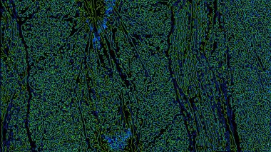 Fantezi kaotik renkli fraktal desen. Soyut Fraktal şekiller. 3D render resimde arka plan veya duvar kağıdı