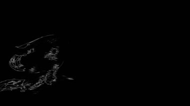 Fantezi kaotik renkli fraktal desen. Soyut Fraktal şekiller. 3D render resimde arka plan veya duvar kağıdı